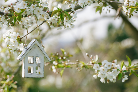 La primavera la vivienda altera, limpieza y mantenimiento del hogar en esta época del año