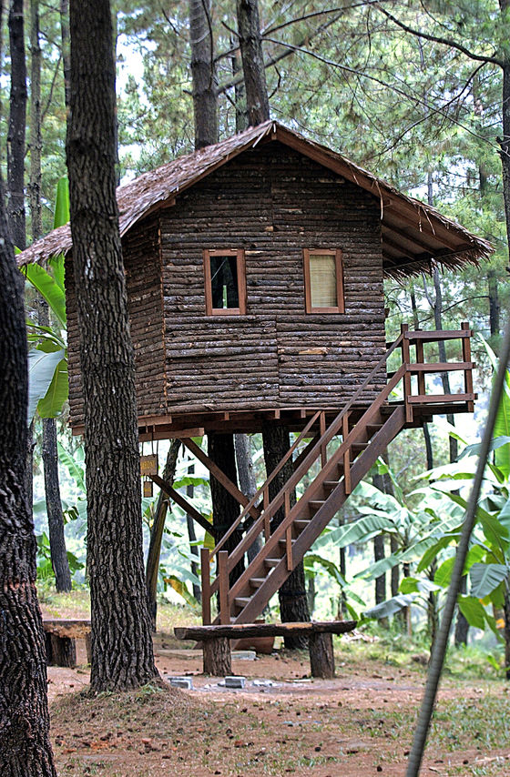 casa en el árbol