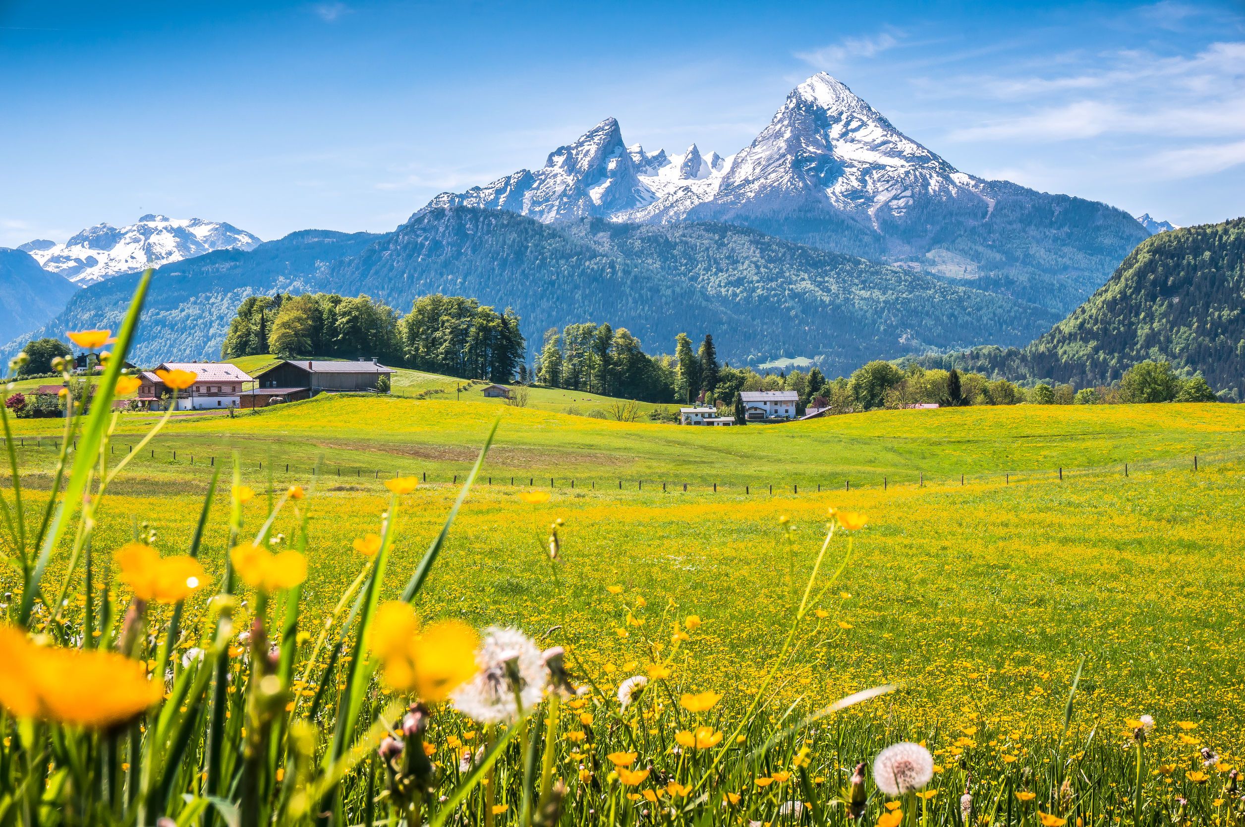 alpes suizos