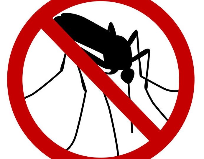 Cómo proteger nuestra casa de los mosquitos en verano