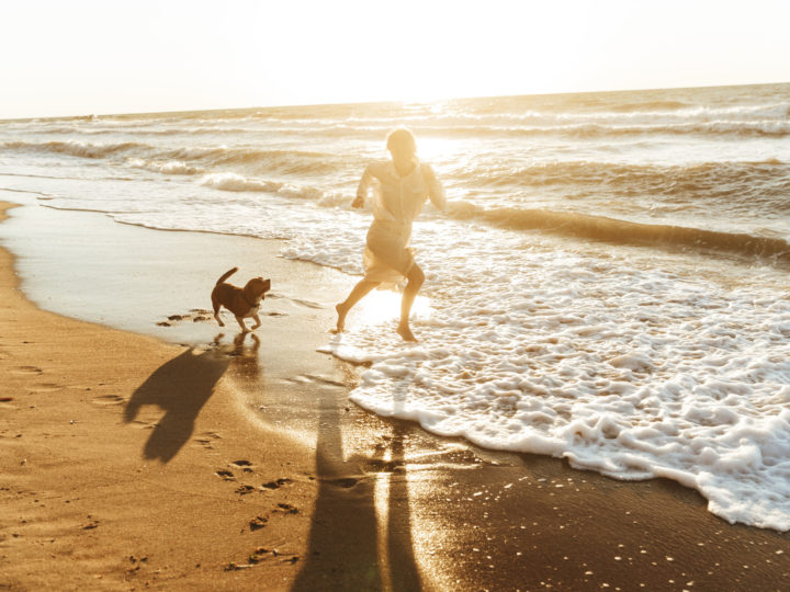 Playas para ir con tu perro este verano
