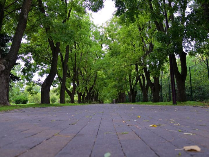 El nuevo parque lineal que cubrirá el metro en Rivas
