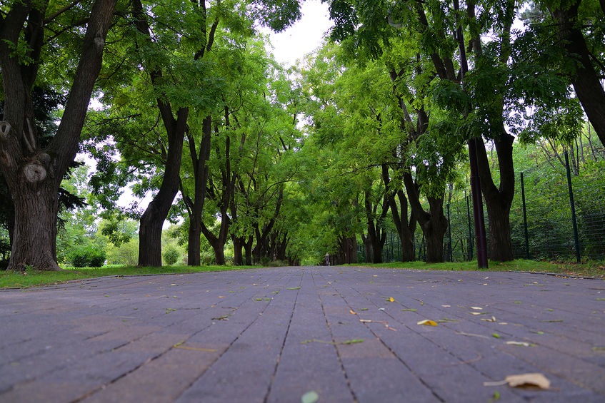 Nuevo parque lineal que cubrirá el metro