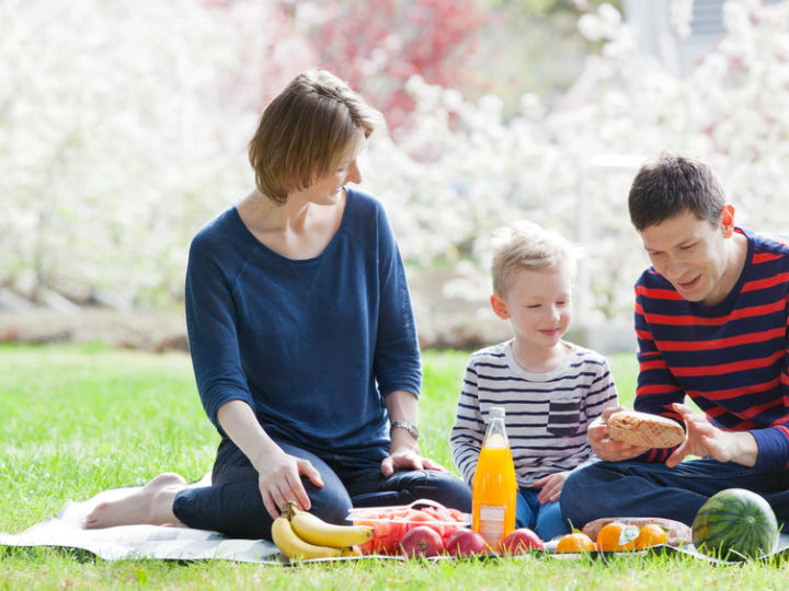 ¿Qué actividades puedo hacer en primavera?