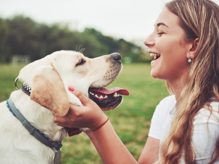 Mejores planes para hacer con tu mascota