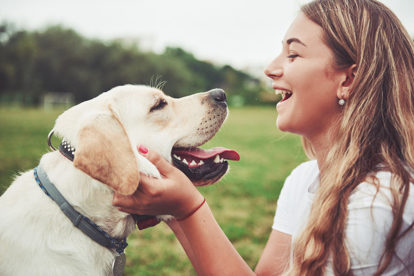 MEJORES PLANES PARA HACER CON TU MASCOTA