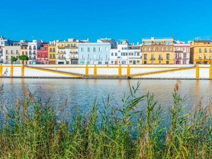 Alquiler de pisos de estudiantes en Triana