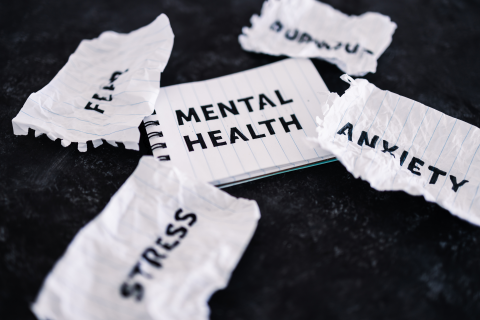 La salud mental en el hogar: Crea un refugio para tu bienestar.