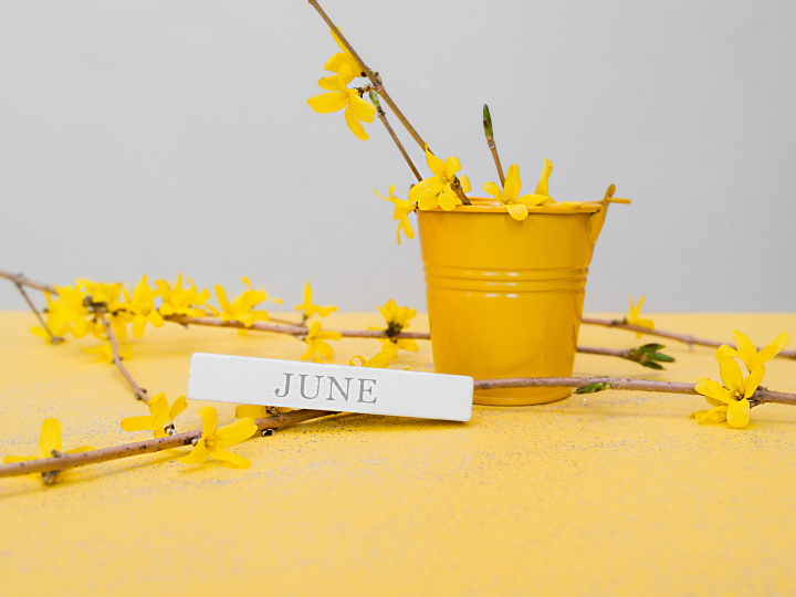 Curiosidades del mes de junio