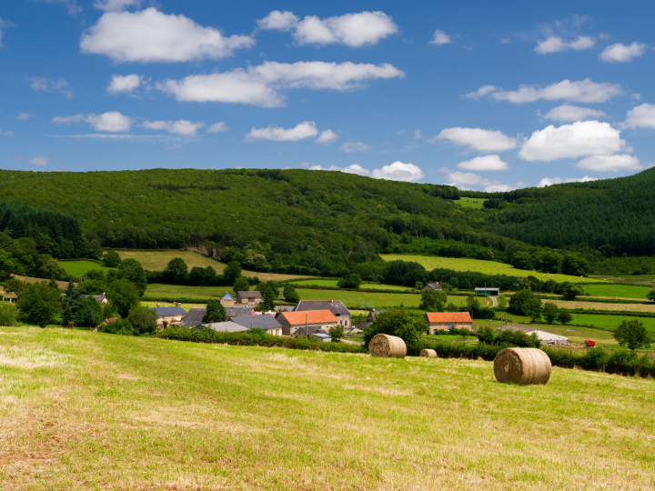 Descubre la belleza del turismo rural