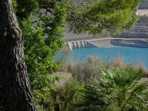 Playas en Madrid para este verano 