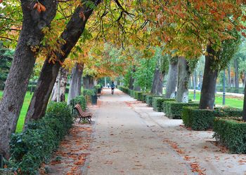 Banner de ALQUILER DE ÁTICO EN ADELFAS