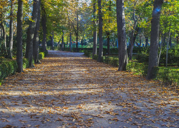 Banner de ALQUILER DE PISO EN RETIRO NIÑO JESÚS
