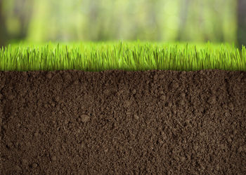 Banner de VENTA DE TERRENO EN VALDEMORO