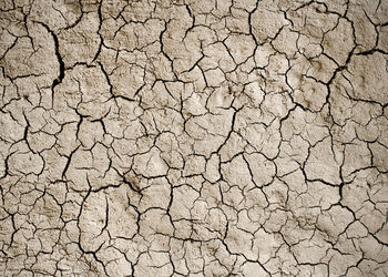 Banner de VENTA DE TERRENO EN MAJADAHONDA