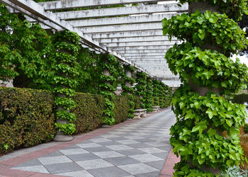 Banner de ALQUILER DE PISO ADELFAS