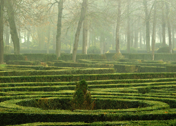 Banner de VENTA DE TERRENO EN ARANJUEZ
