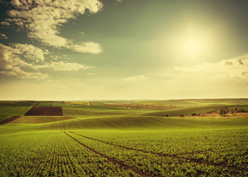 Banner de VENTA DE TERRENO EN POZUELO CENTRO