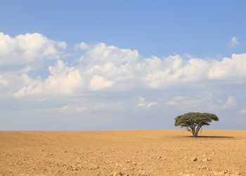 Banner de VENTA DE TERRENO EN VILLALBA