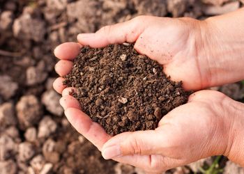 Banner de VENTA DE TERRENO EN LEGANÉS EL CARRASCAL