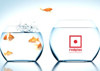 Banner de Proyecto Expansión Redpiso