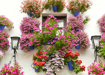 Banner de CASAS EN ALQUILER EN CÓRDOBA