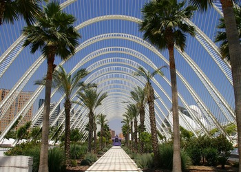 Banner de ALQUILER DE CASA EN VALENCIA GRAU