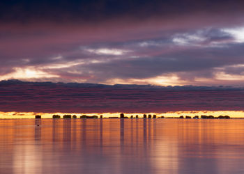 Banner de ALQUILER DE ESTUDIO EN MURCIA