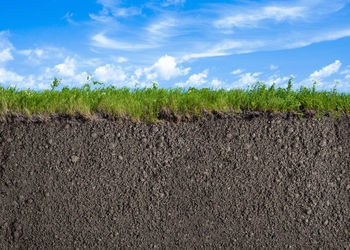 Banner de VENTA DE TERRENO EN POZUELO