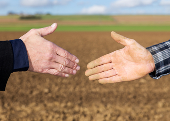 Banner de VENTA DE TERRENO EN HORTALEZA SAN LORENZO