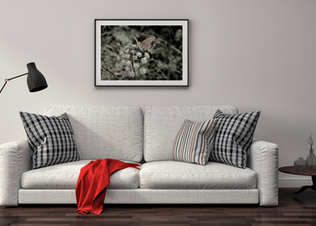 Banner de VENTA DE CASAS EN MONCLOA VALDEZARZA