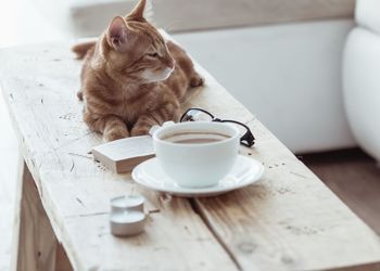 Banner de VENTA DE CASAS EN ARGANDA PLAZA