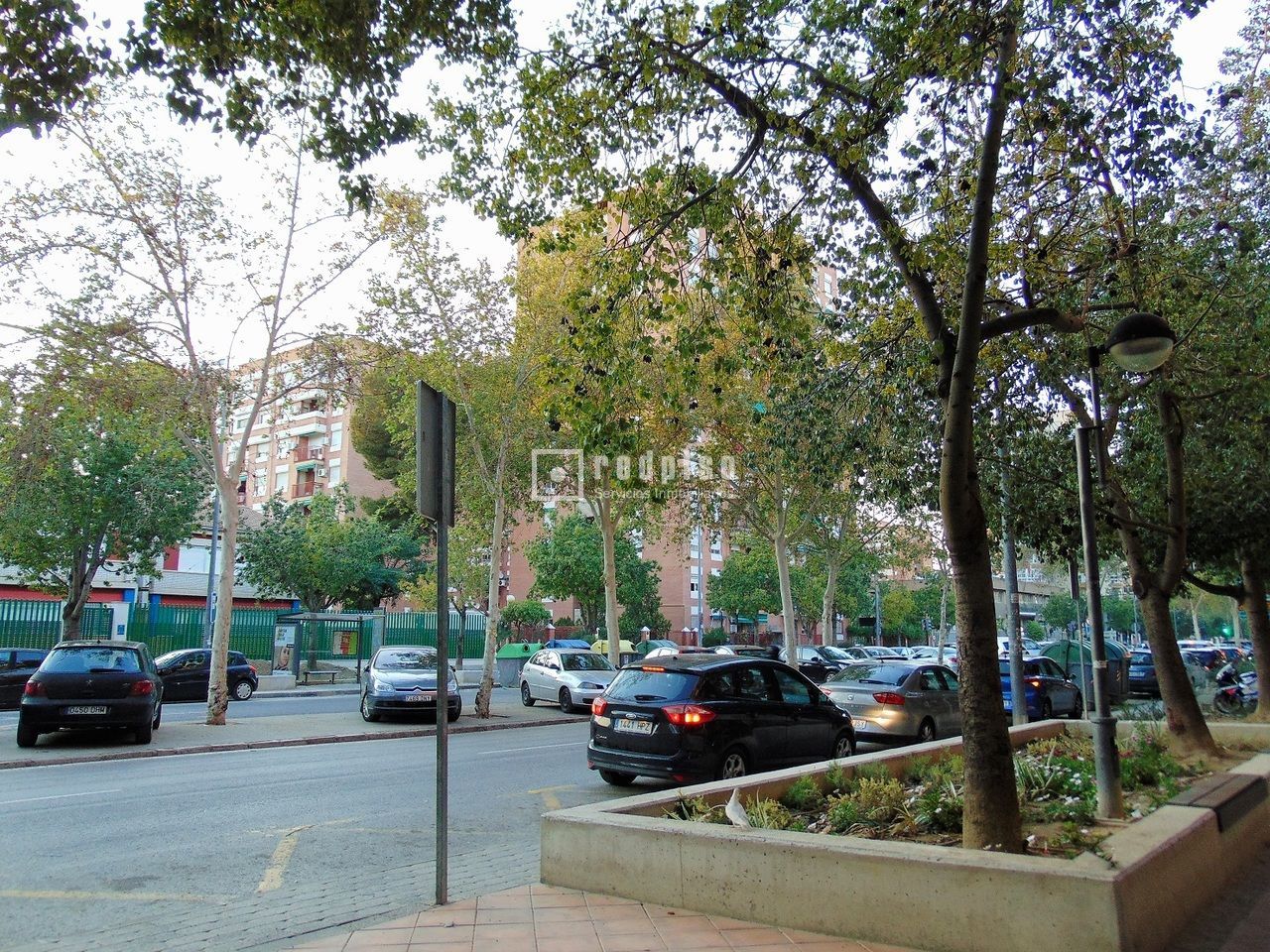 Local Comercial en alquiler en AVENIDA FAMA, Centro, Murcia, Murcia RP226202182369 Local Comercial en alquiler en AVENIDA FAMA, Centro, Murcia, Murcia RP226202182369